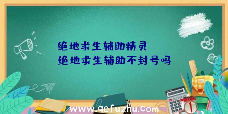 「绝地求生辅助精灵mini」|绝地求生辅助不封号吗